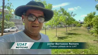 Retired UJAT professor calls for strengthening reforestation and Guayacan tree care