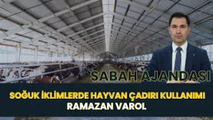 SABAH AJANDASI I SOĞUK İKLİMLERDE HAYVAN ÇADIRI KULLANIMI - RAMAZAN VAROL