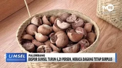SUMSEL TODAY - SOUTH SUMATRA EXPORTS DOWN 6.29 PERCENT, TRADE BALANCE REMAINS IN SURPLUS