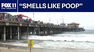 Bacteria warnings issued as millions head to Los Angeles County beaches