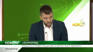 СЛЪНЧОГЛЕД: Под риск ли е пазарът след доставка на 240 хил. тона от Аржентина