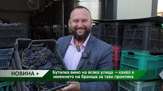 Новина плюс: Бутилка вино на всяка улица – какво е мнението на бранша за тази практика