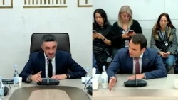 Մարդկանց մոտ պանիկա, մտավախություն կա Շաքիի դեպքից հետո.  Կարապետյանը առաջարկեց հանձնաժողով ստեղծել