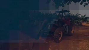 Exportações de suco de laranja crescem 55% na comparação anual | Resumo de Notícias