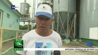 Economic Strategies Implemented at Valle de Caonao Grain Agro-industrial Company