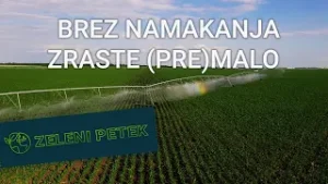 Zeleni petek | Brez namakanja zraste (pre)malo