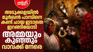 വ്യത്യസ്തനായ കുഞ്ഞ് മൂർഖൻ, അമ്മ അപകടകാരി | Snake Rescue From Net | Snakemaster EP 1213