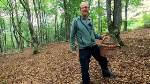 Naturen på landkortet Svampetur