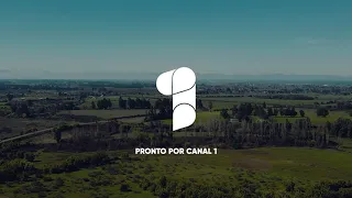PROMO OFICIAL | ¡Qué bonita es mi tierra! (Pronto por Canal 1)