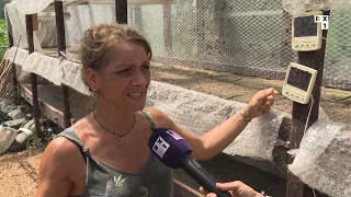 La nature peine à supporter la chaleur