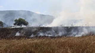 POŽAR GOJIN DOL 21.08.2026.