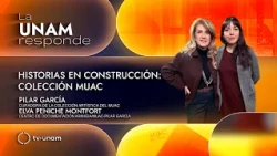 Stories in Construction, MUAC Collection: La UNAM Responde 1427