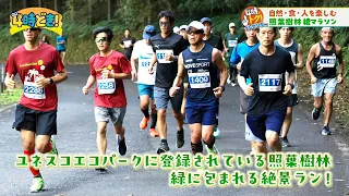 Enjoy Nature, Food, and People! "Aya Evergreen Forest Marathon 2026" Friday, July 17, 2026 "4 O'C...