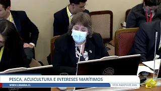 Fisheries, Aquaculture and Maritime Interests Committee - Wednesday, August 19, 2026