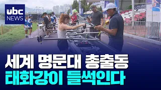 Diving into the 'Racing Currents' on the Taehwa River 08/19/2026
