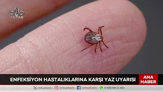 Ordu Altaş TV Main News | July 28, 2026