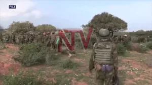 How UPDF structures have evolved over the years