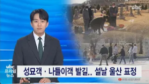 성묘객·나들이객 발길..설날 울산 표정 260217