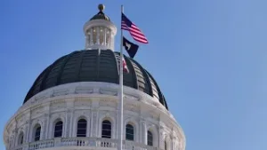 Are California laws actually working? Lawmakers launch review