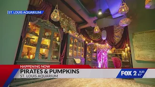St. Louis Aquarium celebrates Talk Like a Pirate Day