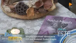 Megemlékezések városszerte - 109 éve született Szabó Magda