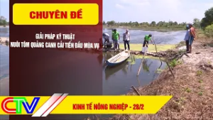 KINH TẾ NÔNG NGHIỆP 28-2-2026 |  GIẢI PHÁP KỸ THUẬT NUÔI TÔM QUẢNG CANH CẢI TIẾN ĐẦU MÙA VỤ