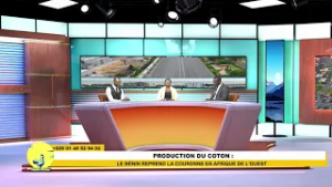 Production du coton : Le Bénin reprend la couronne en Afrique de l'Ouest