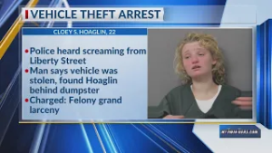 Bath woman charged with grand larceny