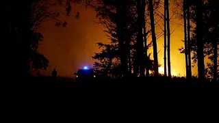 Francia, incendio nelle Landes: 525 evacuati mentre la foresta brucia