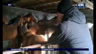 09/08/2026 newsrus16