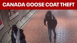 Woman speaks out after teens try to steal her $1,200 Canada Goose coat in D.C.