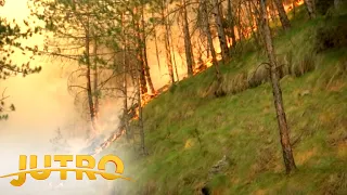 Požari u Srbiji uživo sa terena: Trenutna situacija - JUTRO
