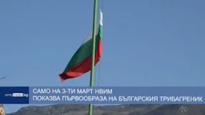 Само на 3 март Националния военноисторически музей показва първообраза на българския трибагреник