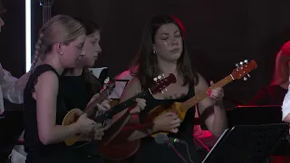 Poletna festivala v Dragatušu in Vinici