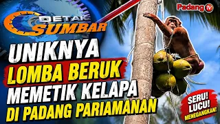 THE UNIQUE COCONUT-PICKING MONKEY COMPETITION IN PADANG PARIAMAN