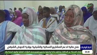 Financial Grants to Support Women's and Youth Projects in Hodh Ech Chargui Region