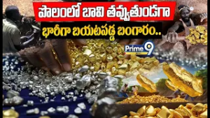 Latest Viral Gold Story ?: పొలంలో బావి తవ్వుతుండగా భారీగా బయటపడ్డ బంగారం..| Prime9 News