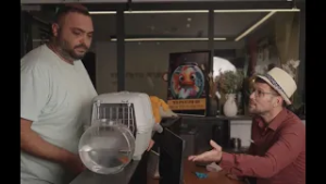 חושבים שזה פשוט לאמץ חתול? תחשבו שוב...