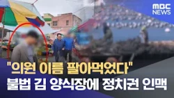 "Exploiting a Lawmaker's Name": Political Ties to Illegal Seaweed Farms (10/09/2026/News Desk/Mok...