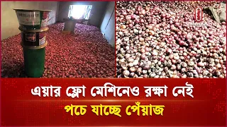 সংরক্ষণাগারে পচে যাচ্ছে পেঁয়াজ, বাড়ছে ক্ষতি | Rotten Onions | Independent TV