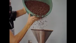 Loja province seeks to win the Taza Dorada competition again in its 20th edition