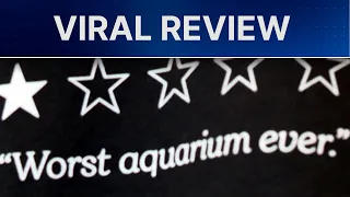 ‘Worst aquarium ever’: New Bedford Whaling Museum turns 1-star review into viral merch