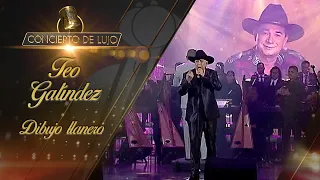 [Concierto De Lujo] – Teo Galíndez – Dibujo llanero