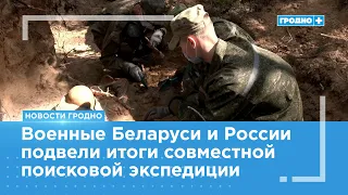 Remains of 7 WWII soldiers found in Grodno District