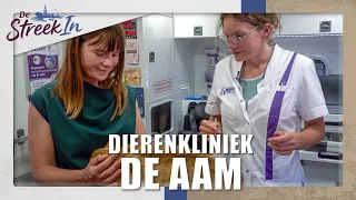 Out and about with the animal ambulance! || INTO THE REGION