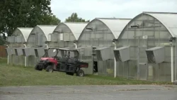 Farmers are paying more than ever at the pump. Your grocery bill could follow