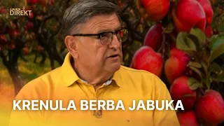 Hrvatske voćare spašavaju strani radnici: 'Moglo bi biti problematično' | RTL Direkt