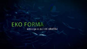 EKO FORMA 05.03.2026.