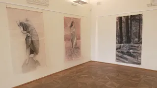 Historické sály holešovského zámku hostí výstavu Zuzany Pernicové