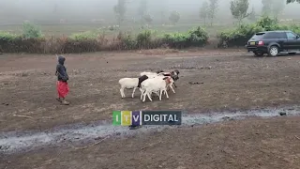 WADAU WA HABARI TANZANIA WATOA MAWAZO YAO JUU YA UMUHIMU WA RADIO